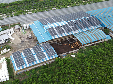 Hệ thống lắp đặt mái kim loại .Hàn Quốc